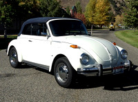 77 VW Bug White